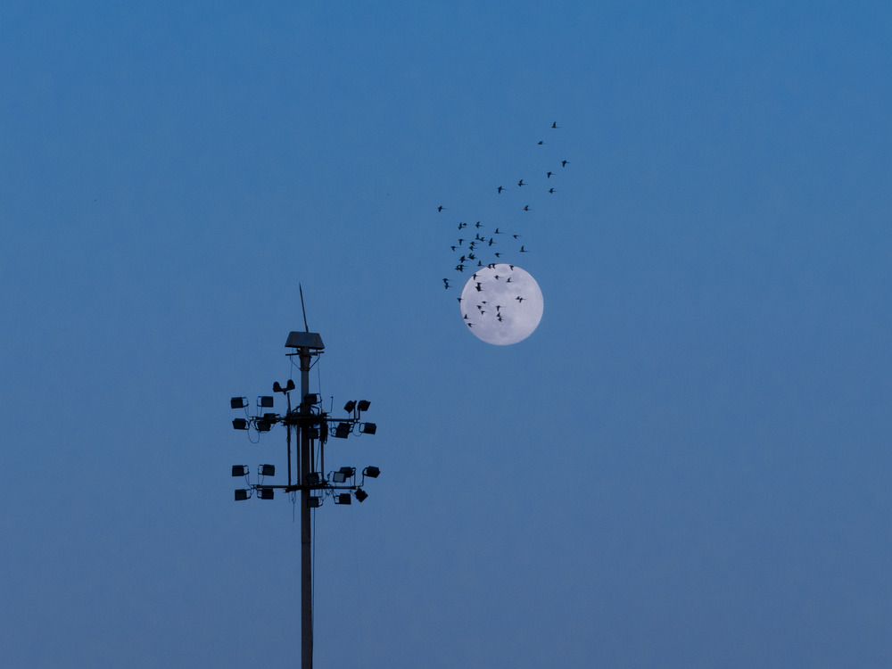 Фотография автора Kushal Lad