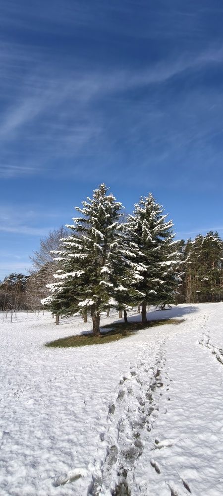 Photograph by Eugenia Blinova