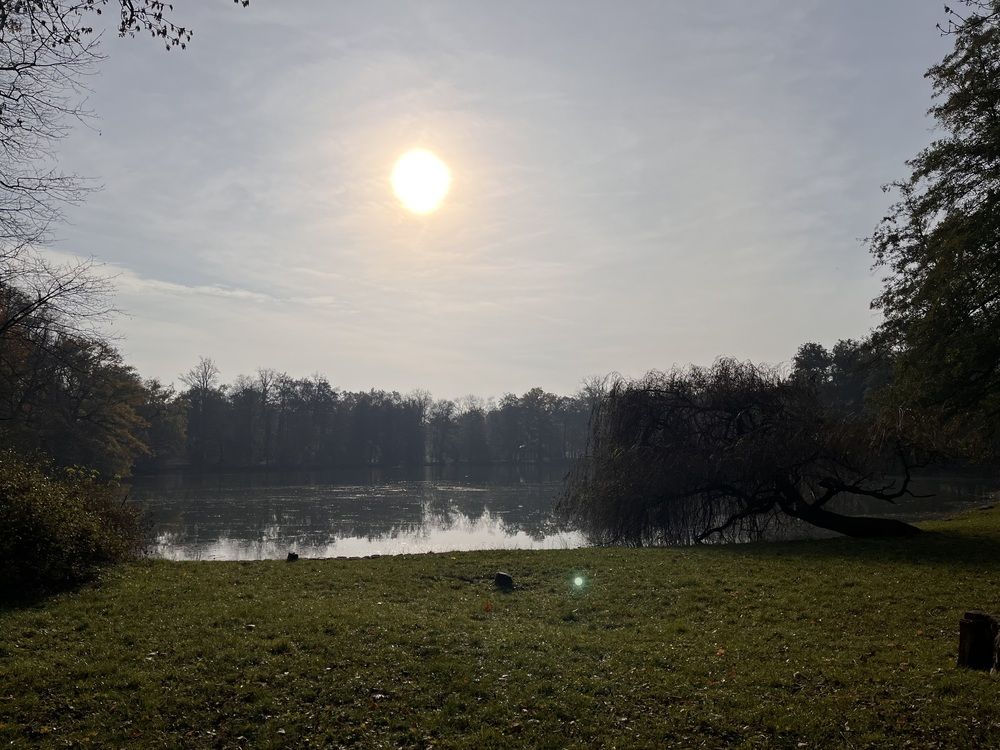 Photograph by Елена Лагойская