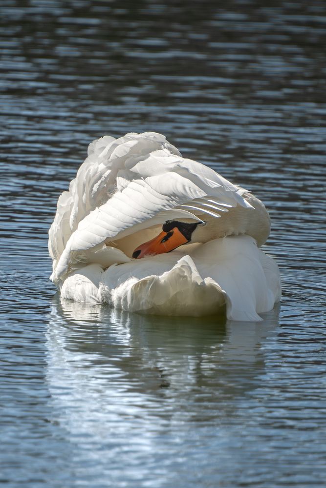 Photograph by Высотских Владимир