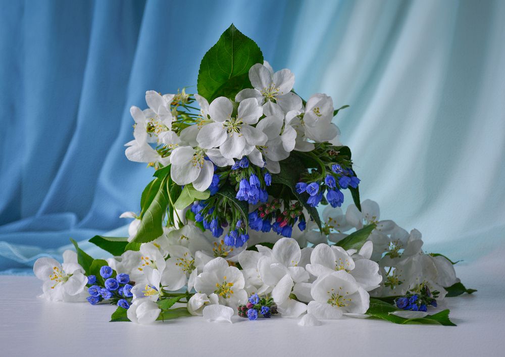 Photograph by Inna Ivanova