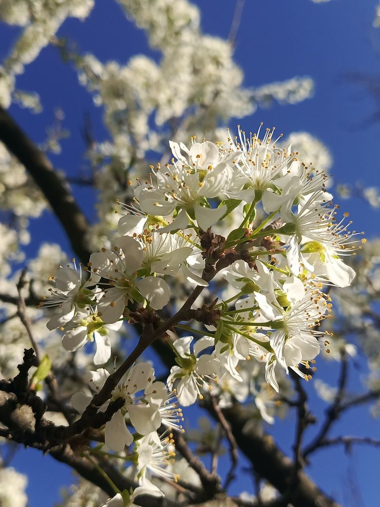 Photograph by Татьяна Пальчикова