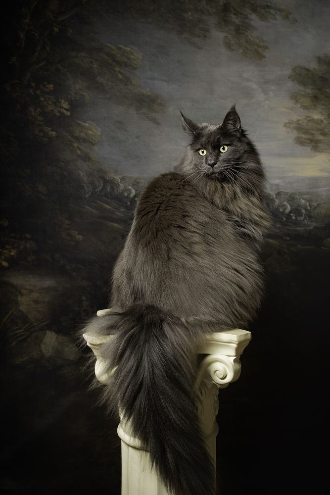 The Emperor