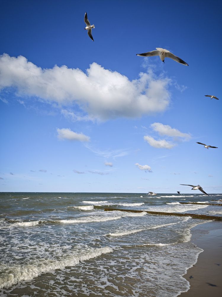 Фотография автора Анастасия Сироткина