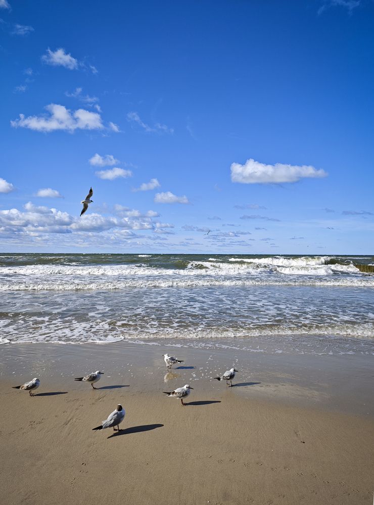 Фотография автора Анастасия Сироткина