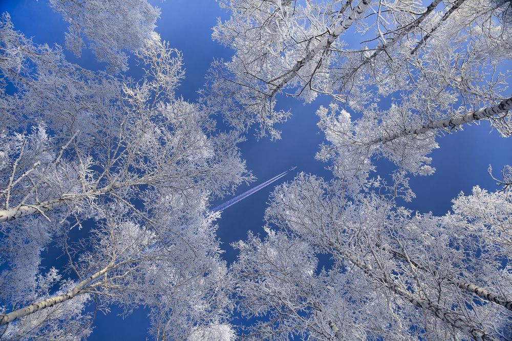 Photograph by Андрей Стародубцев