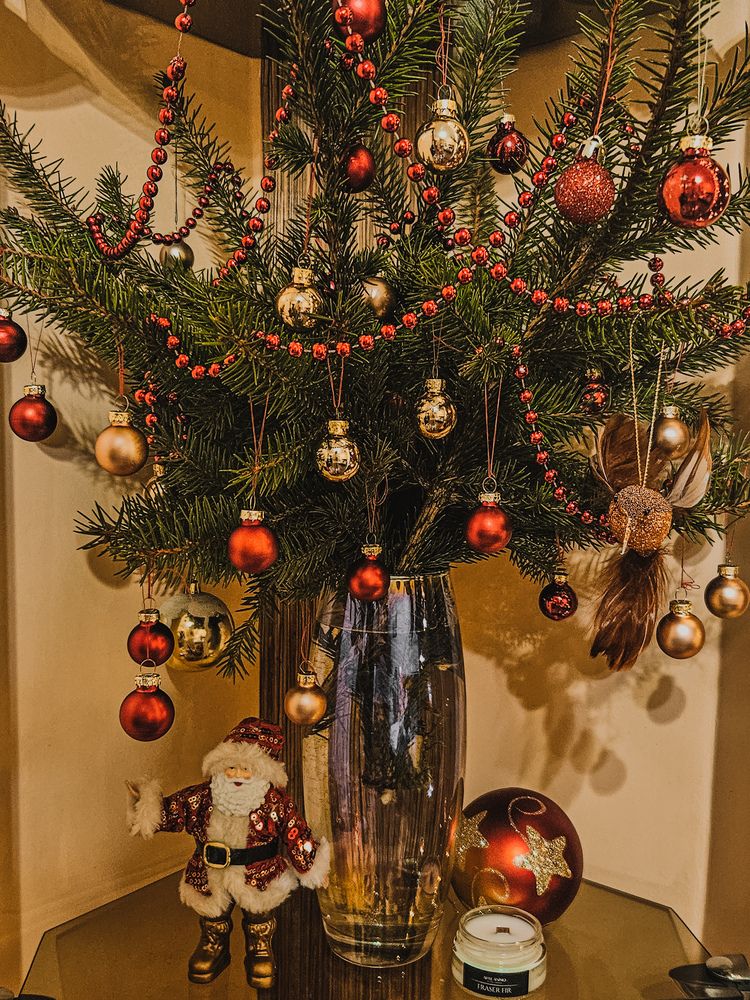 Photograph by Кристина Альшанская