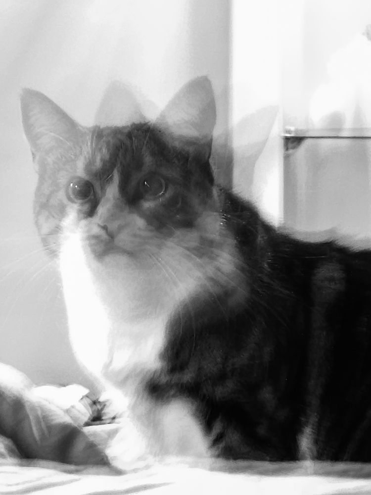 Photograph by Кристина Альшанская