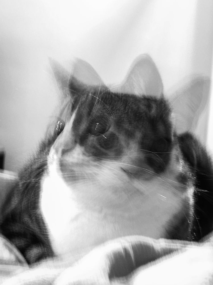 Photograph by Кристина Альшанская