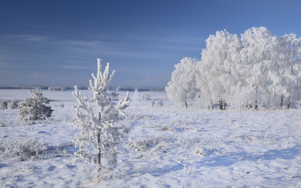 Photograph by Андрей Стародубцев