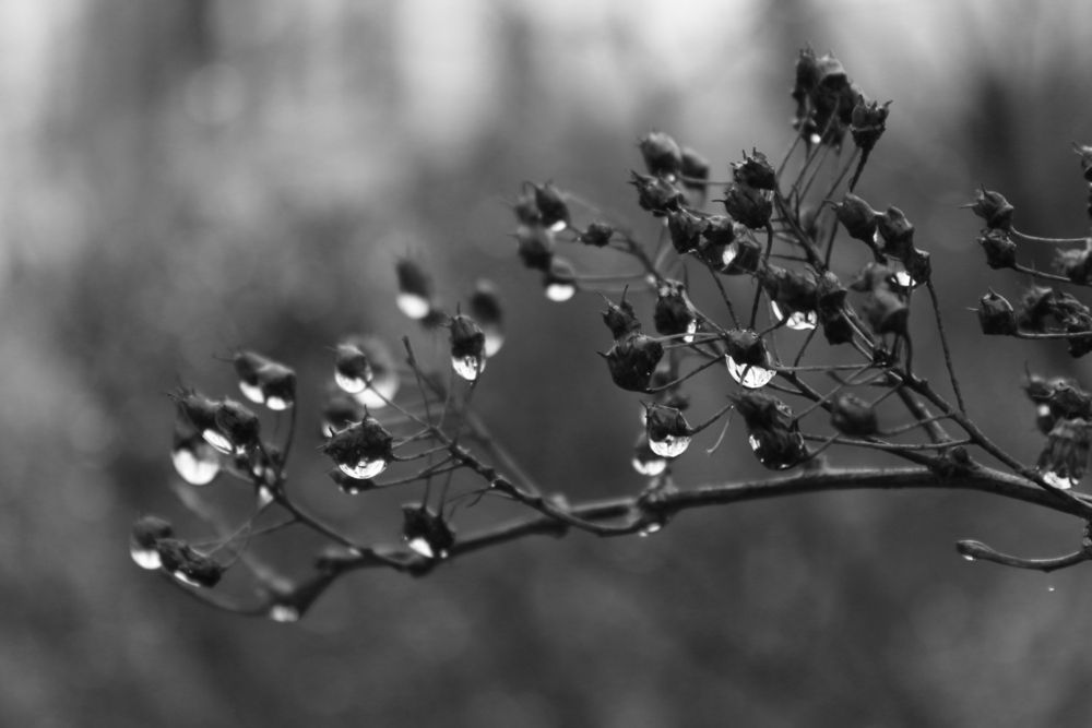 Photograph by Екатерина Иванова