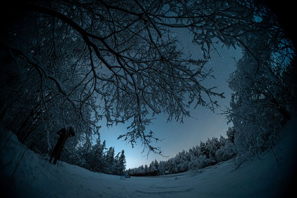 Фотография автора Тимур Даутов