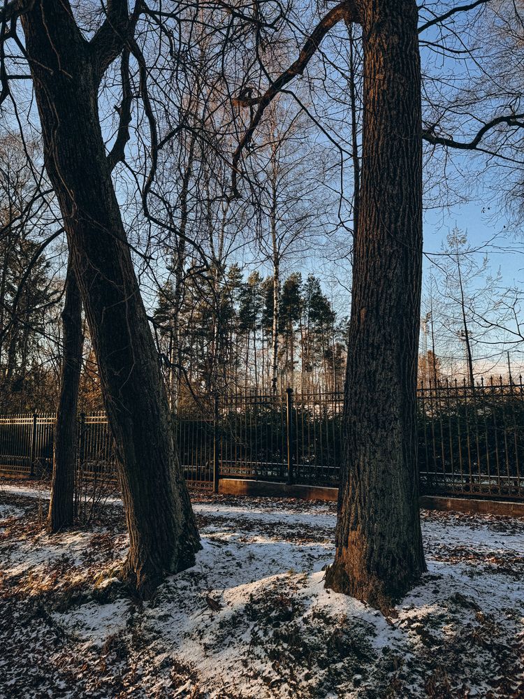 Photograph by Александра Кишикова