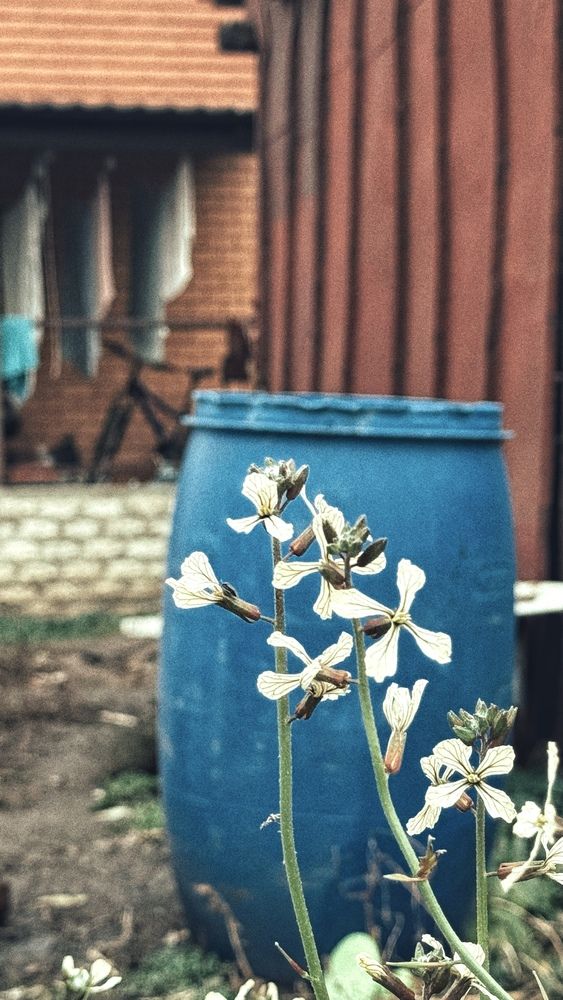 Photograph by Елена Гущина