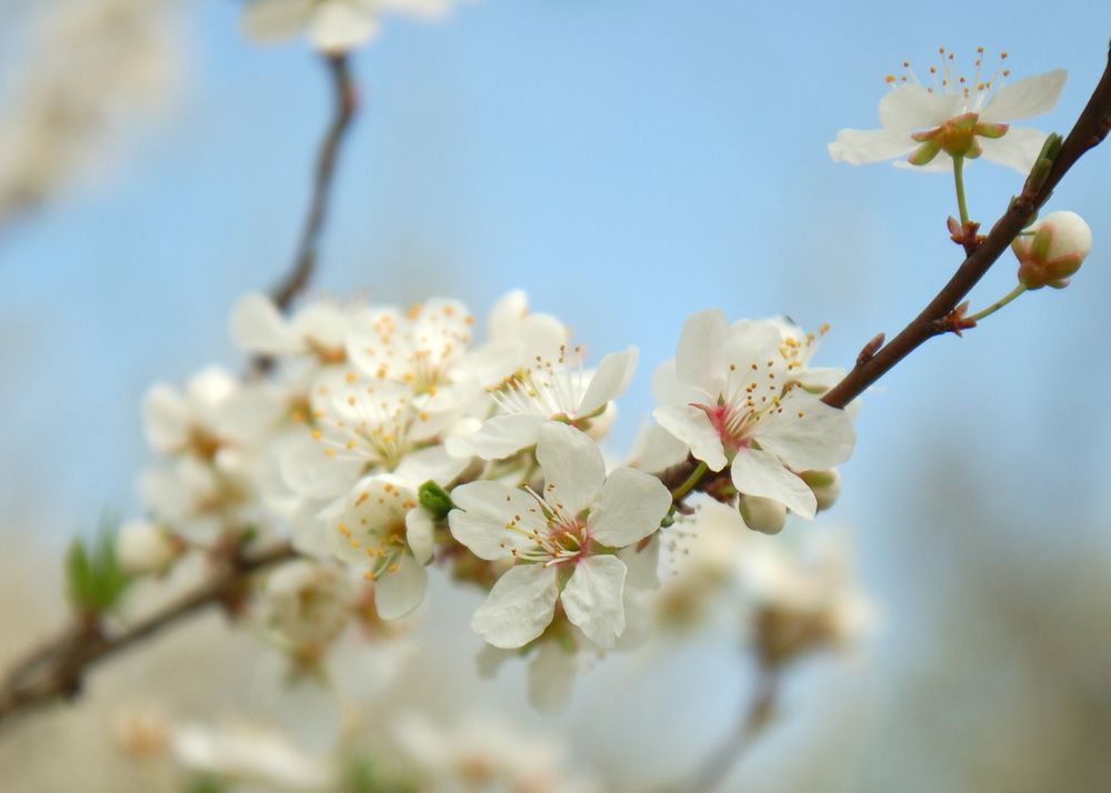 Photograph by Сергей Тихомиров