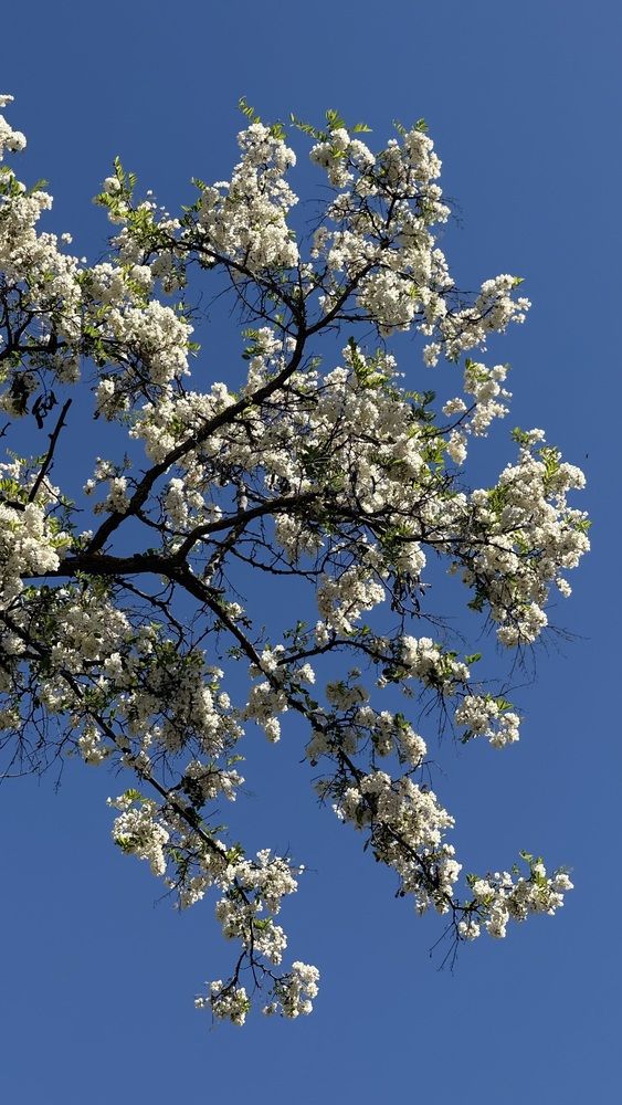 Photograph by Елена Гущина