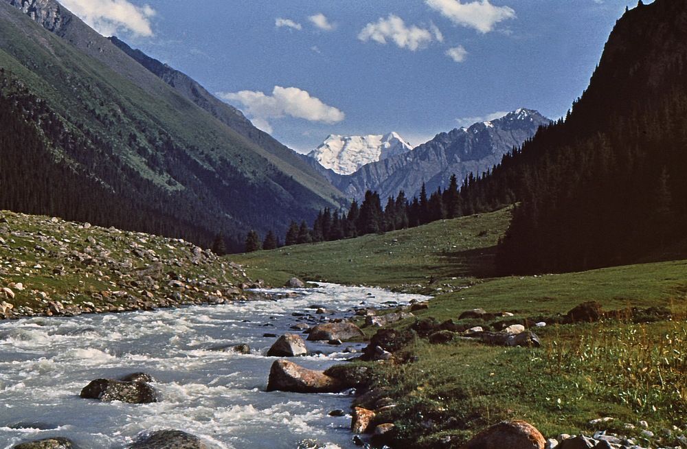 Пик Палатка