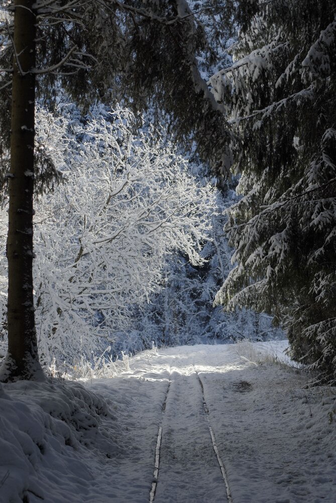 Photograph by Oleksandr Brovko