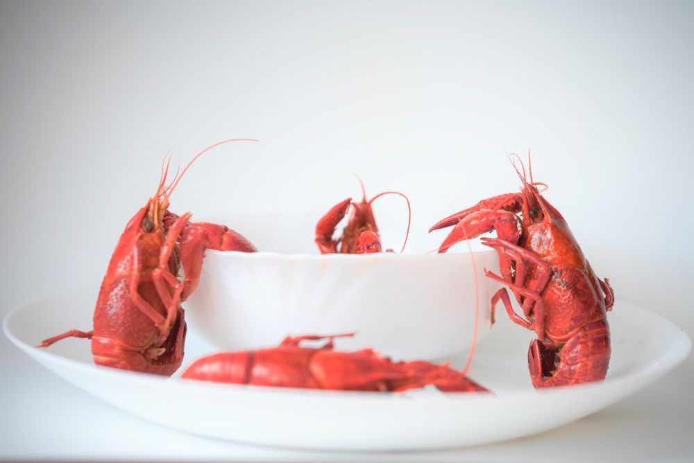 Photograph by Ксения Шилина