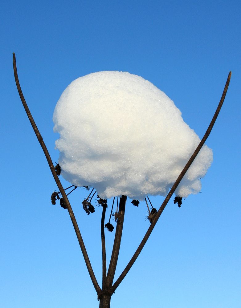 Photograph by Pavel Gukov