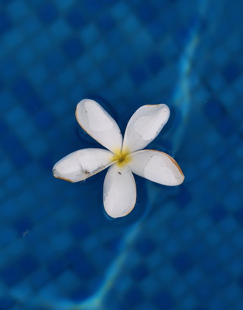 Photograph by Кристина Феминова