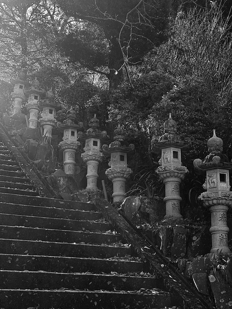 Photograph by Nagasaki Marina