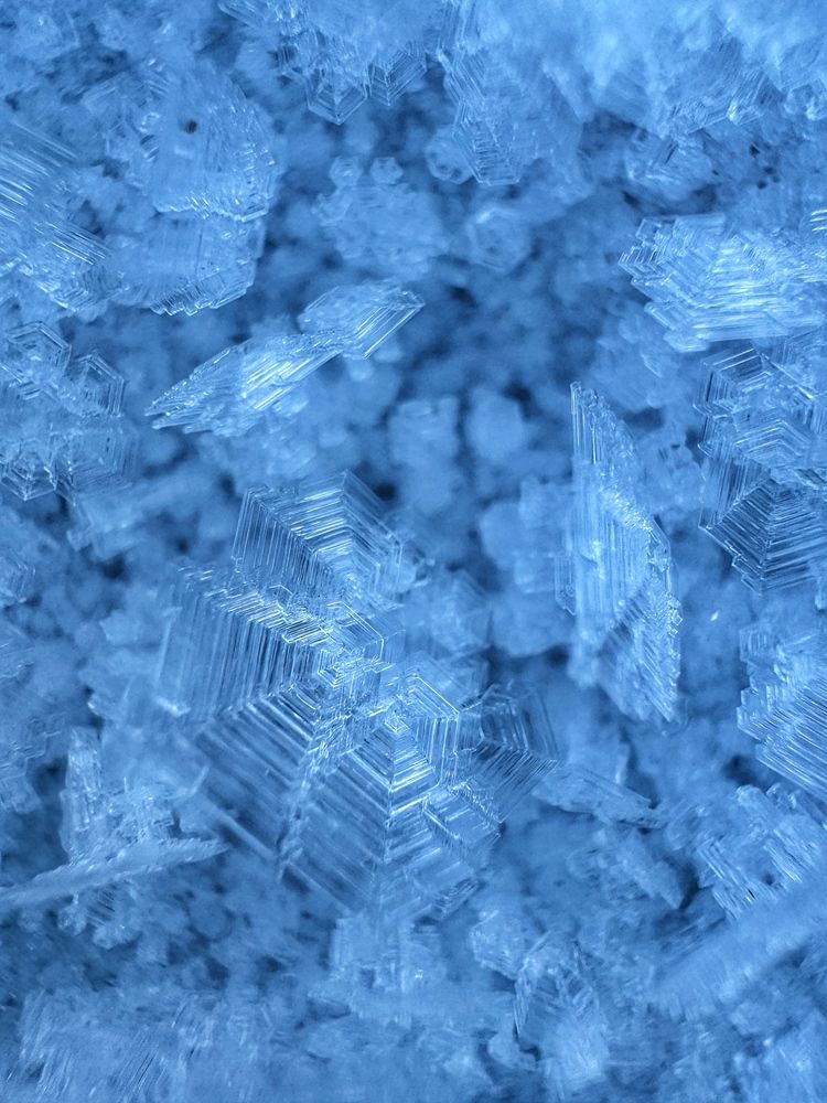 Photograph by Ольга Кудіна