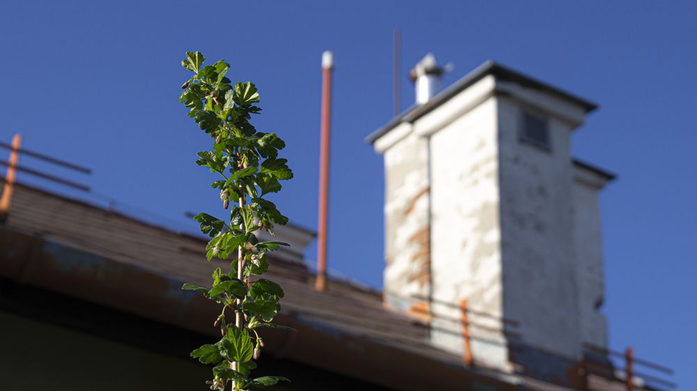 Фотография автора Сергей Кравцов