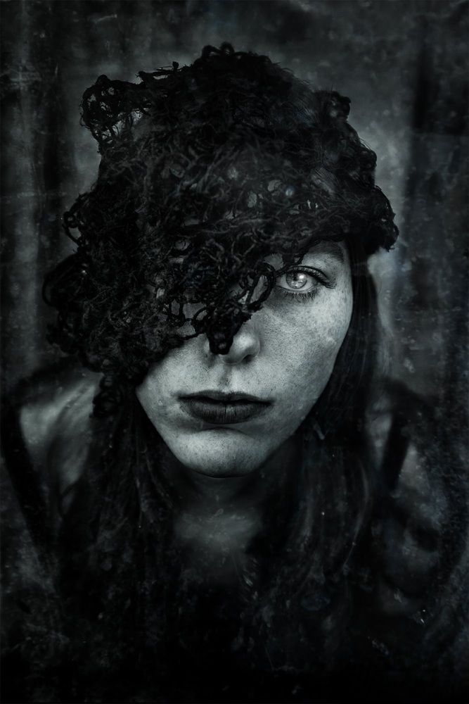 Photograph by Shelley Harvey