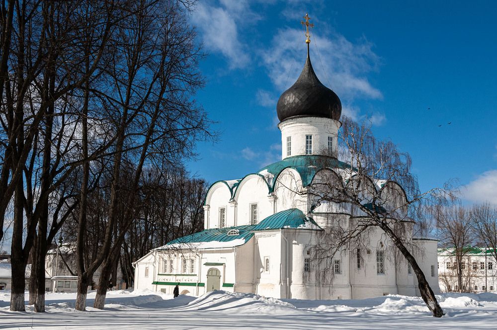 Photograph by Vladimir  Komarov