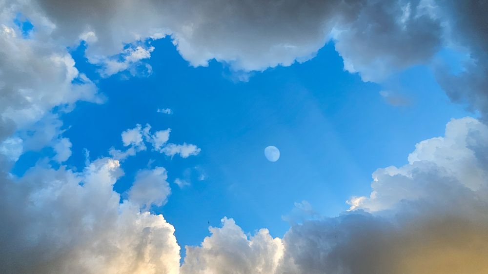 Фотография автора Samane Naji