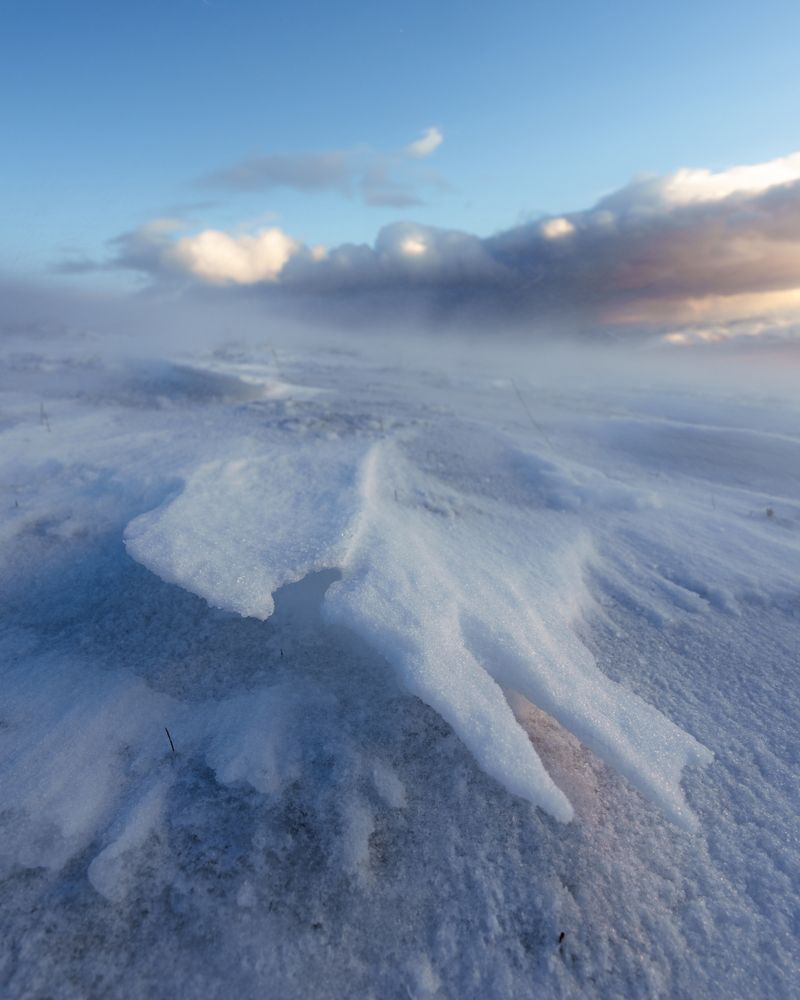 Photograph by Bogdan Kalashnikov