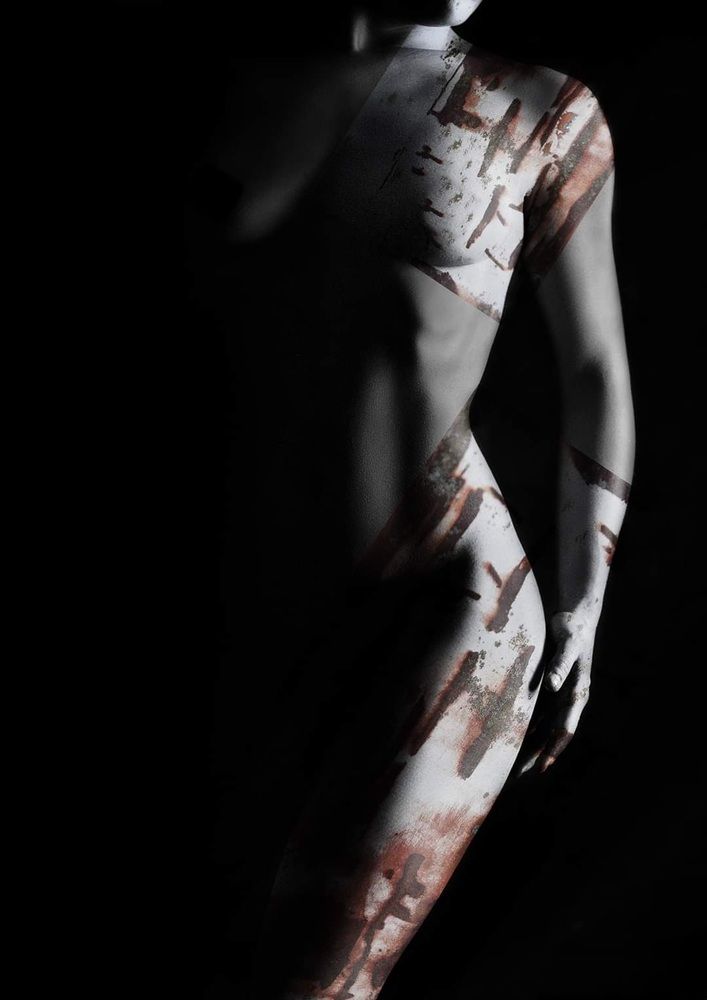 Photograph by Shelley Harvey