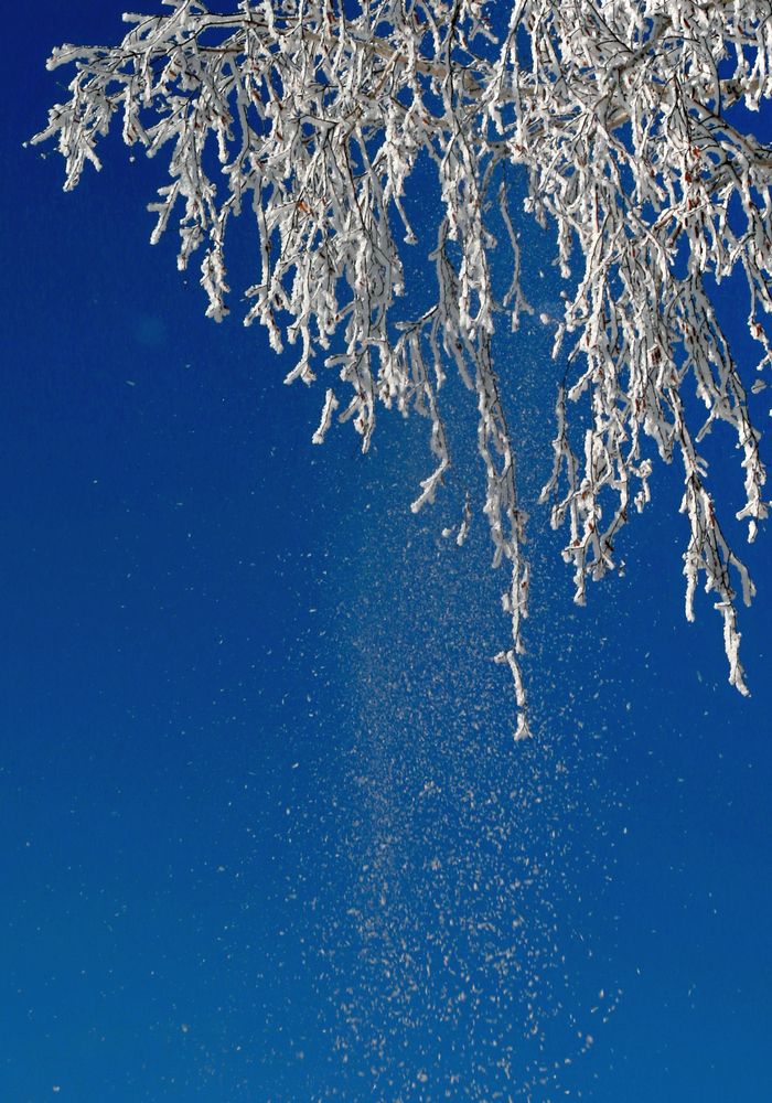 Photograph by Андрей Стародубцев