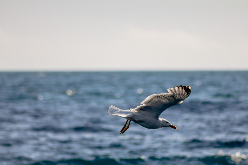 Photograph by Терещенко Евгений
