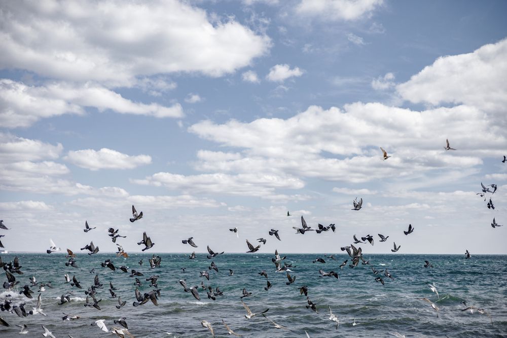 Photograph by Терещенко Евгений