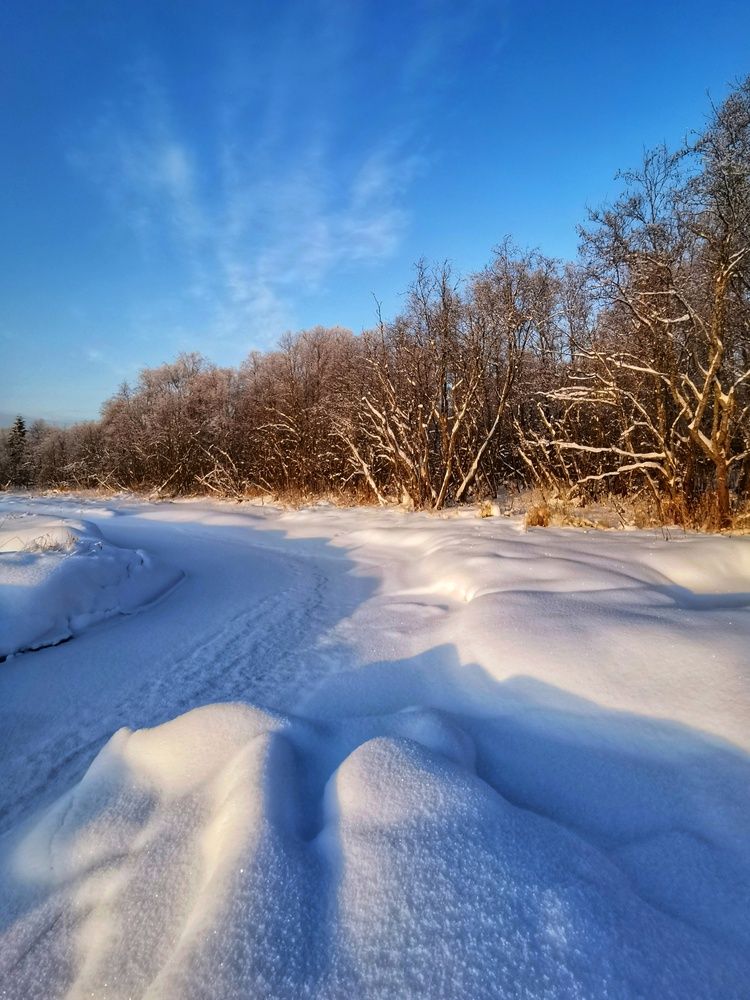 Фотография автора Андрей Шестаков
