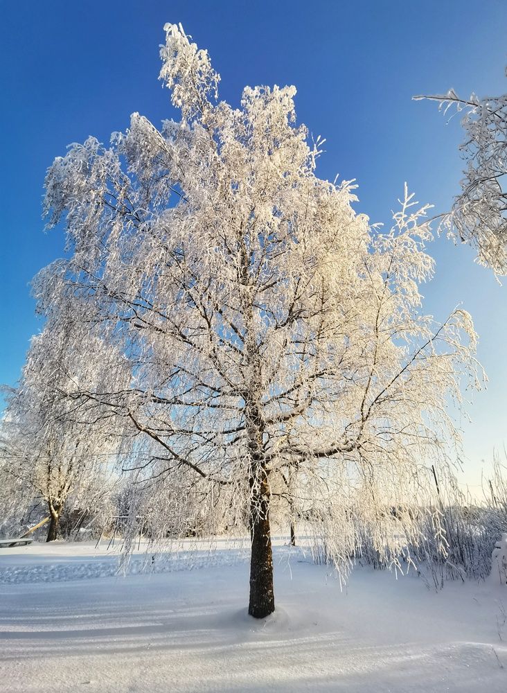 Фотография автора Андрей Шестаков