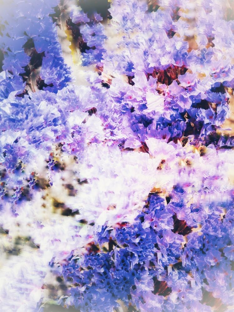 Фотография автора Марина