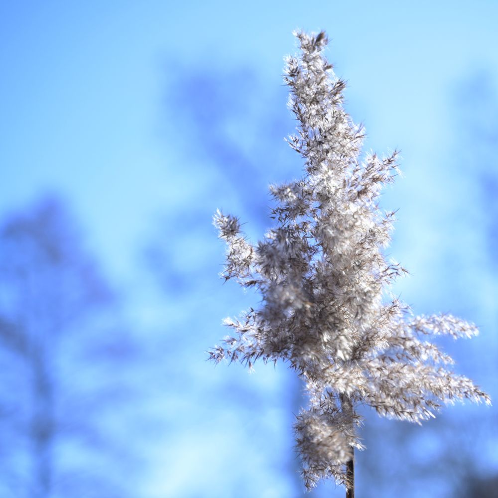 Photograph by Ирэна Ершова