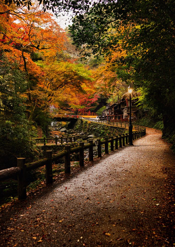 Photograph by Sachintha Jarathne