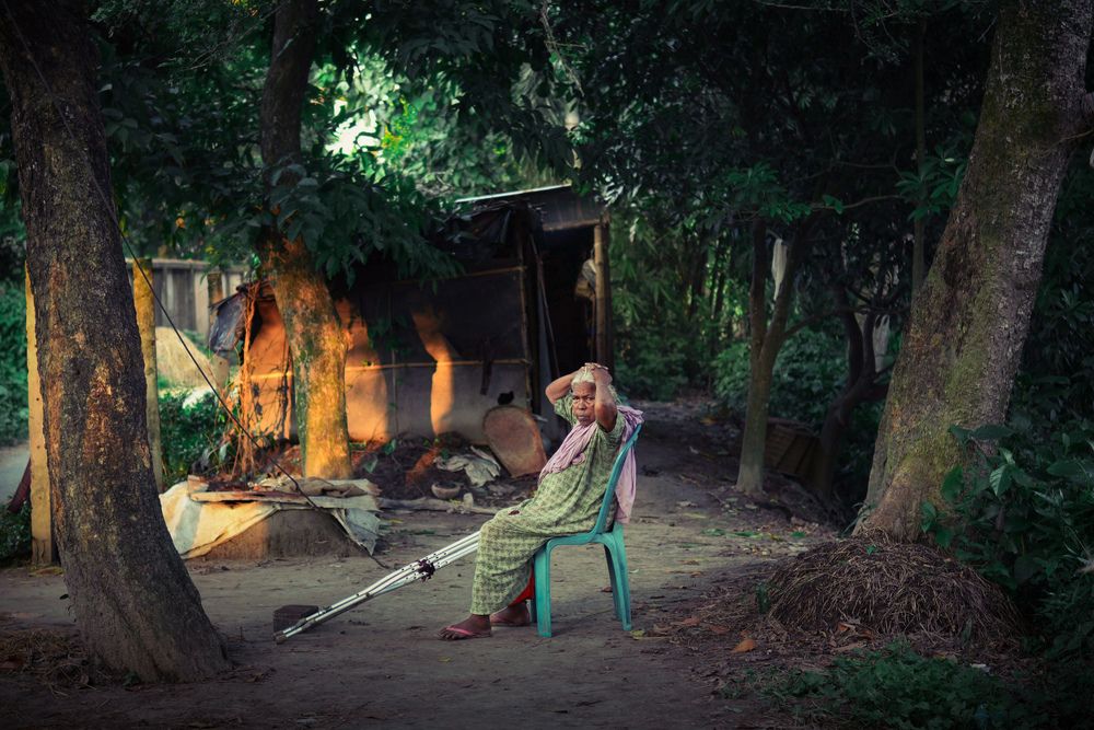 Evening Rest Under Trees
