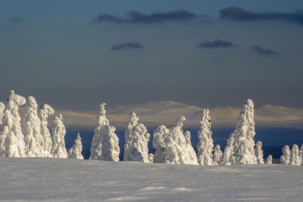 Photograph by Сергей Фомин