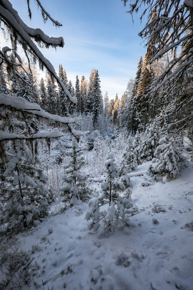 Photograph by Сергей Фомин