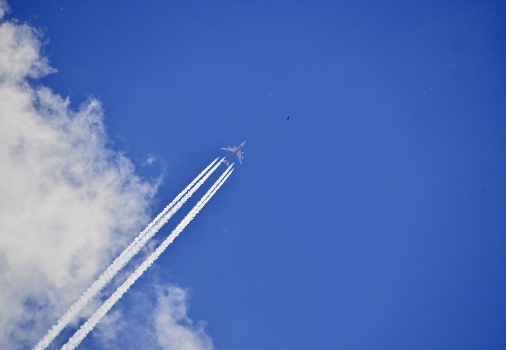 Фотография автора Антип