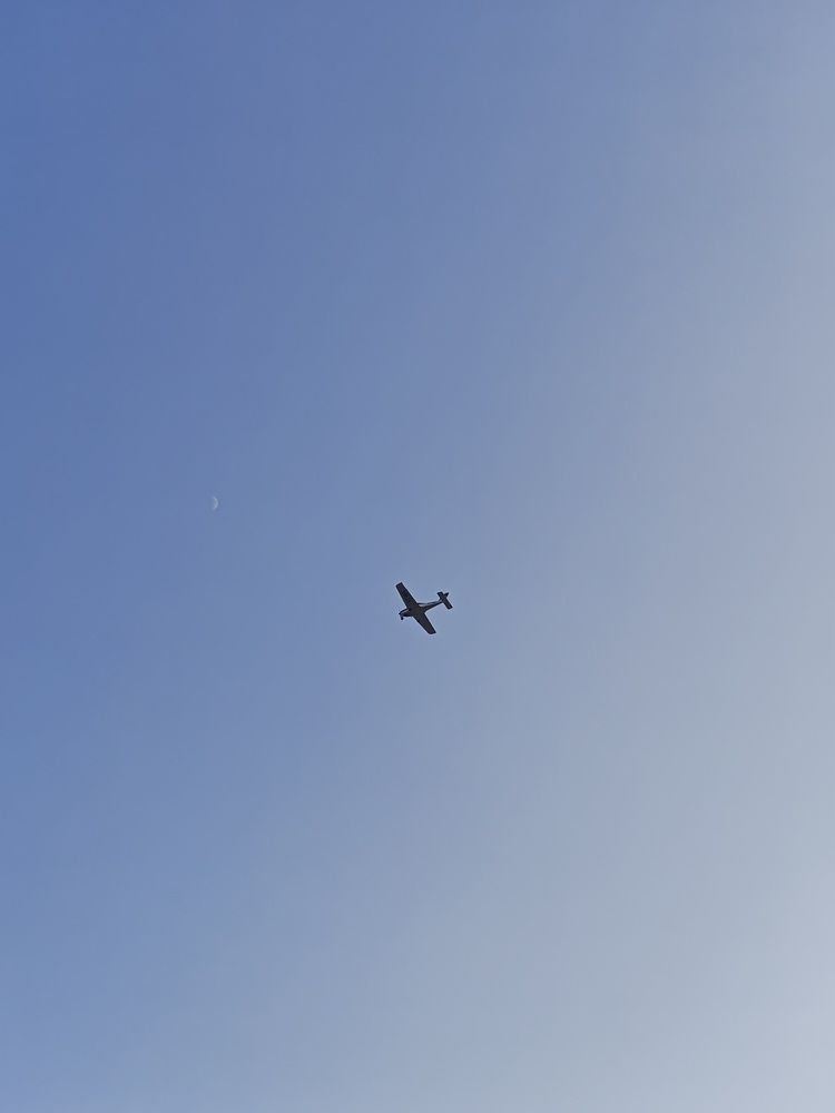 Photo #12966842