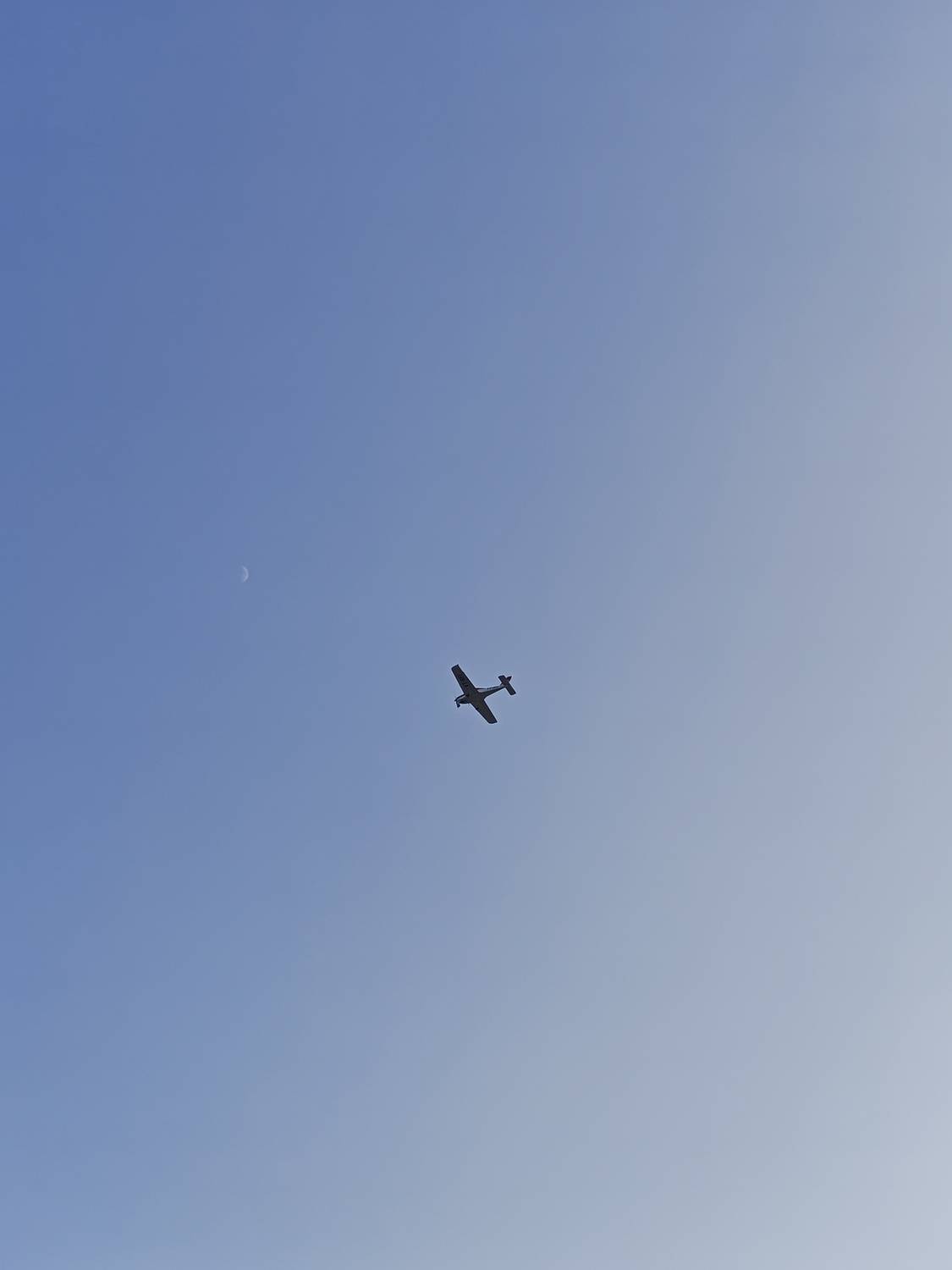 Photo #12966842
