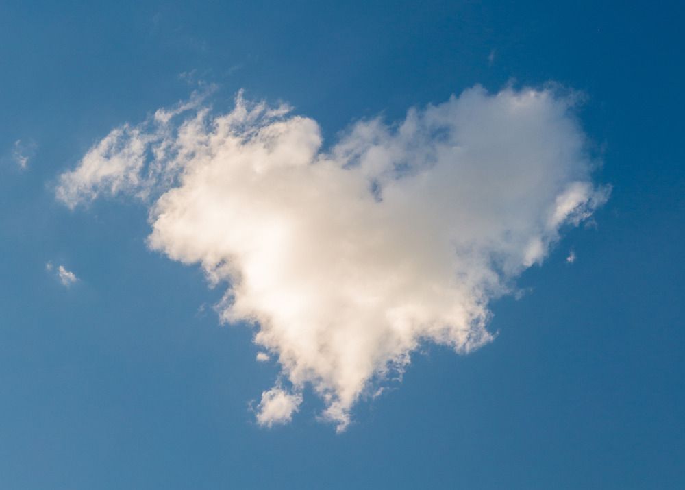 Photograph by seyed mostafa yousefi