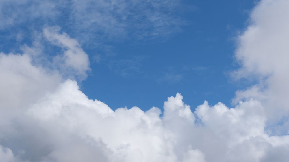 Фотография автора Jorge Correia