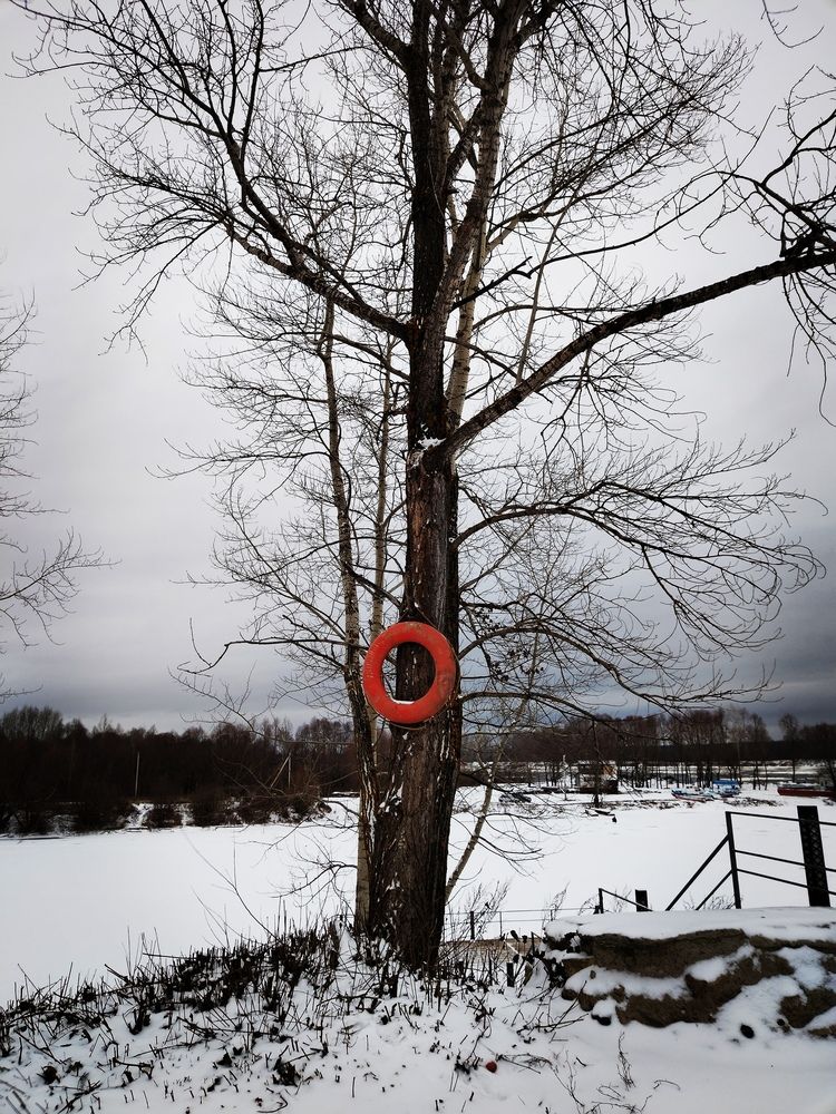 Photo #12966978